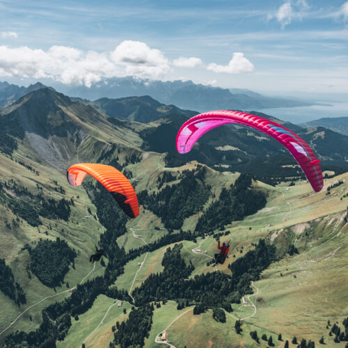 Niviuk Hook 7 P